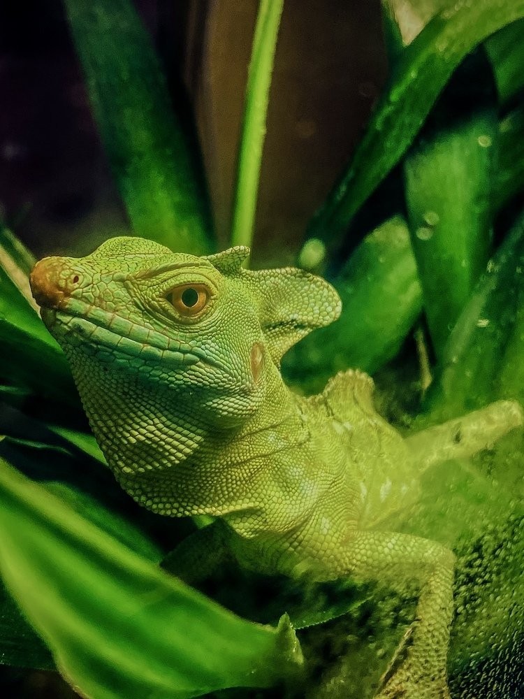 Photograph by Сергей Марченков