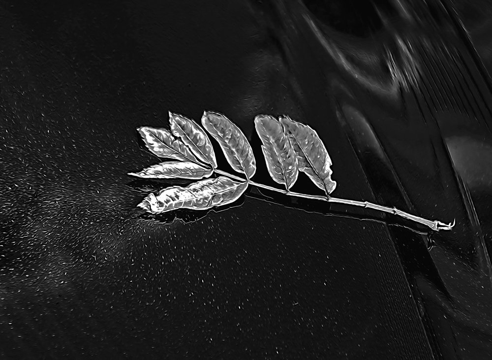 Осенняя пора