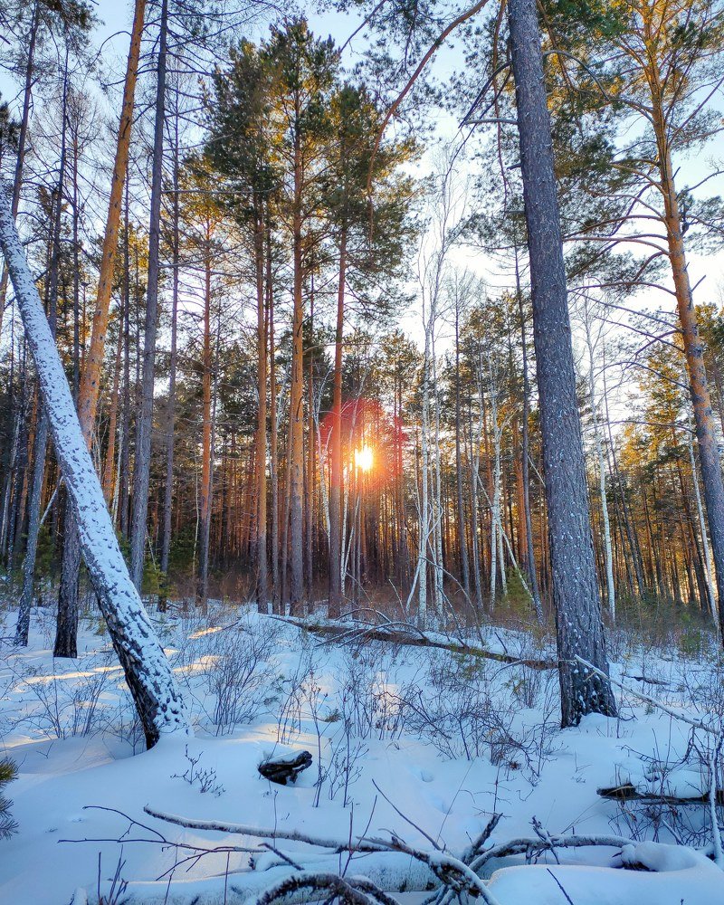 Photograph by Александр Коваль