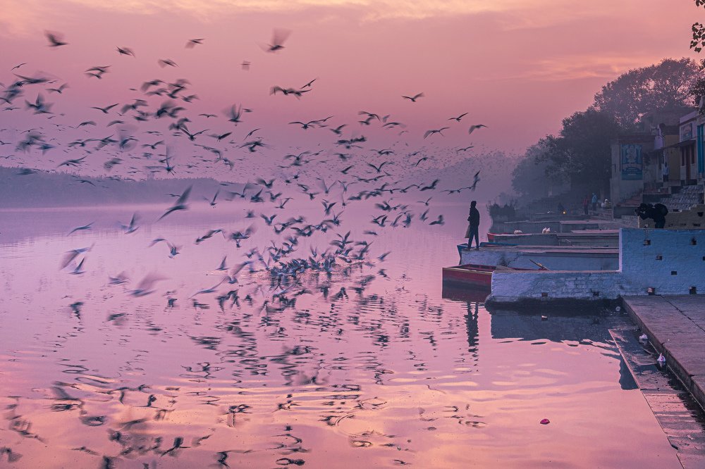 Morning In Yamuna Ghat
