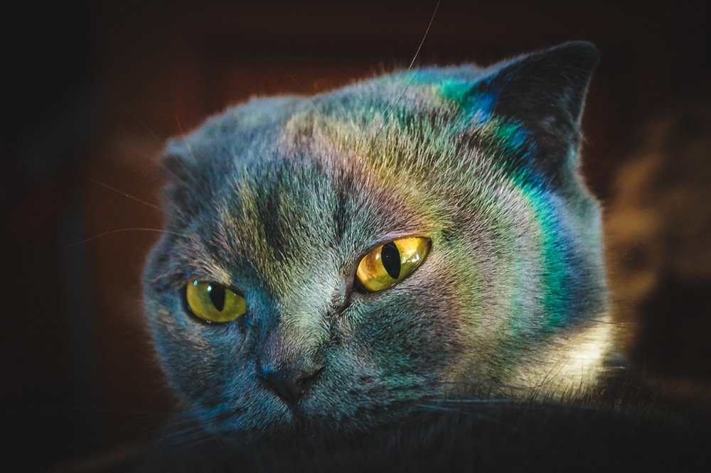 Photograph by Виктор Сёмушкин