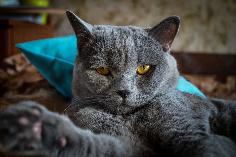 Photograph by Виктор Сёмушкин