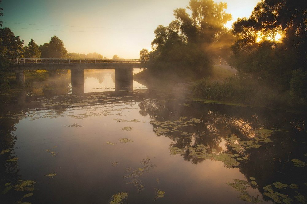 Photograph by Быков Сергей