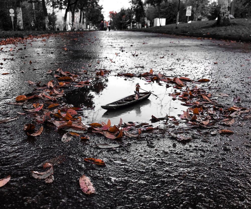 Photograph by Дмитрий Гришкевич