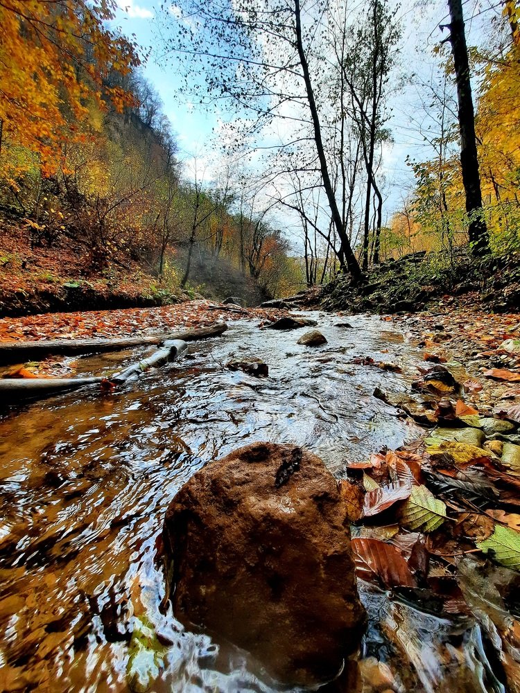 Photograph by Дмитрий Черкашин