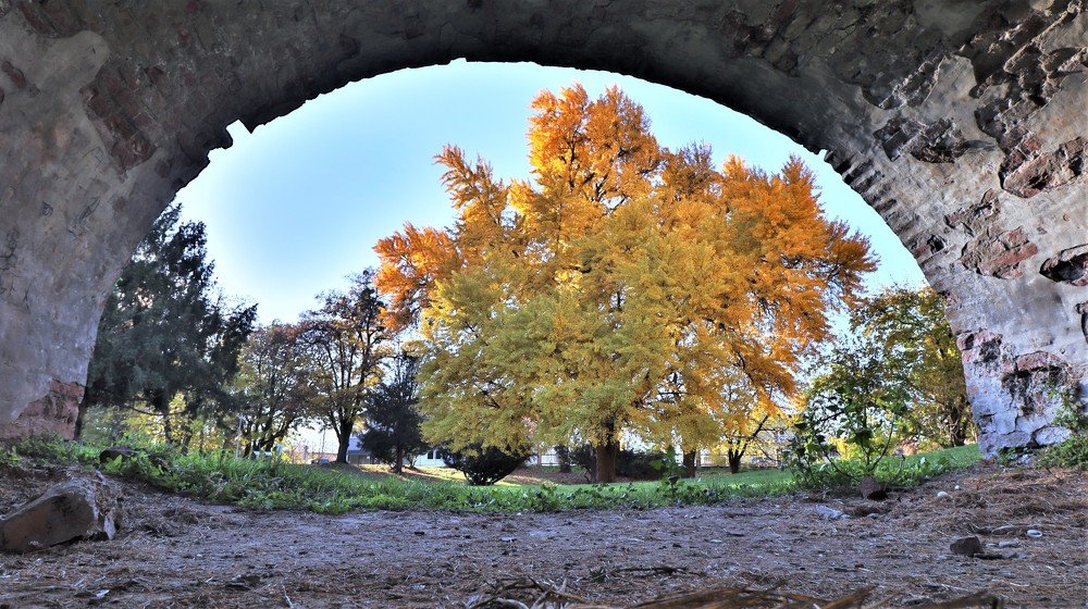 Фотография автора Tomislav Mihelic