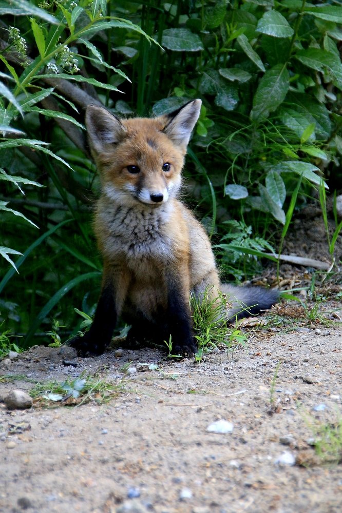 Photograph by Мария