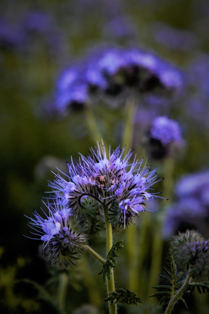 Photograph by Alvydas Baltakis