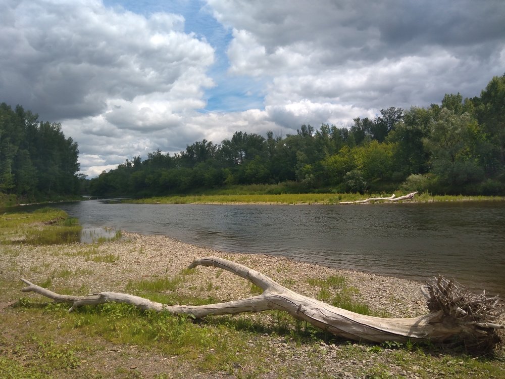 Photo #5381981