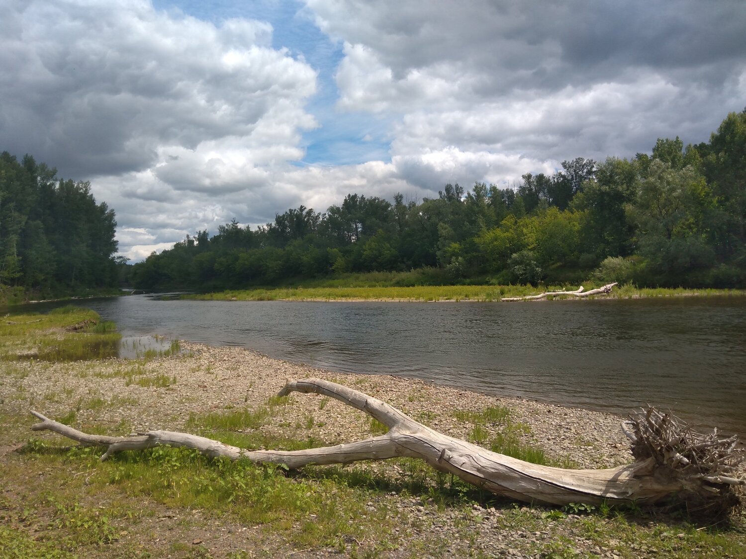 Photo #5381981