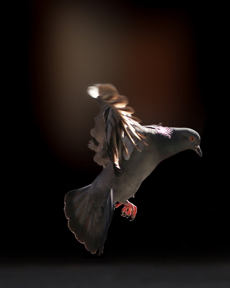 Photograph by Ritesh Manandhar