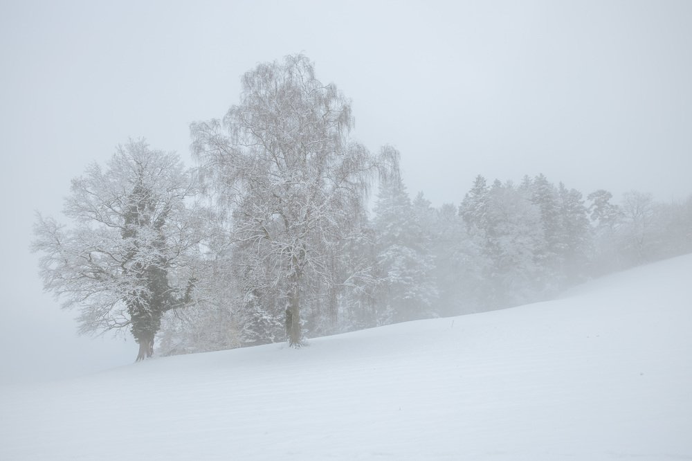 Photograph by Osojnik Mojca