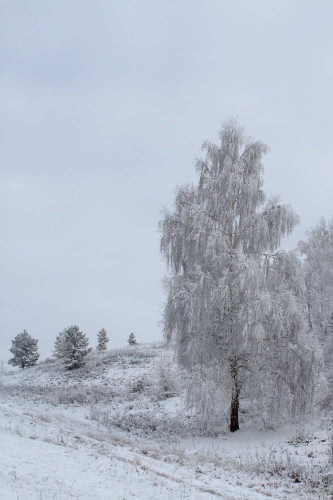 Photograph by Alexey Kaizer