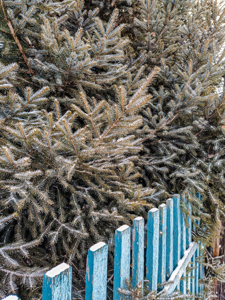 Photograph by Надежда Толкачева