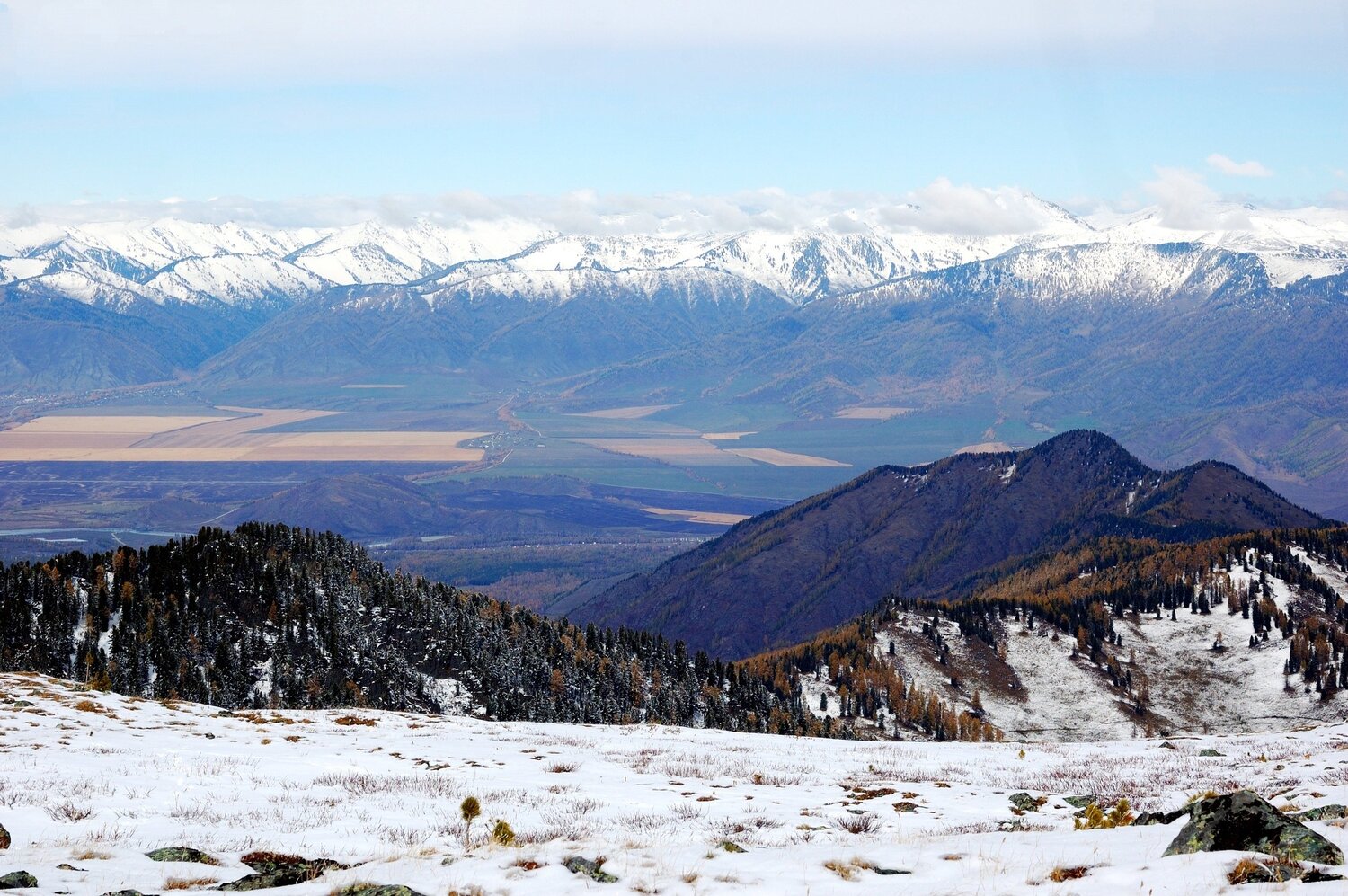 Photo #5382168