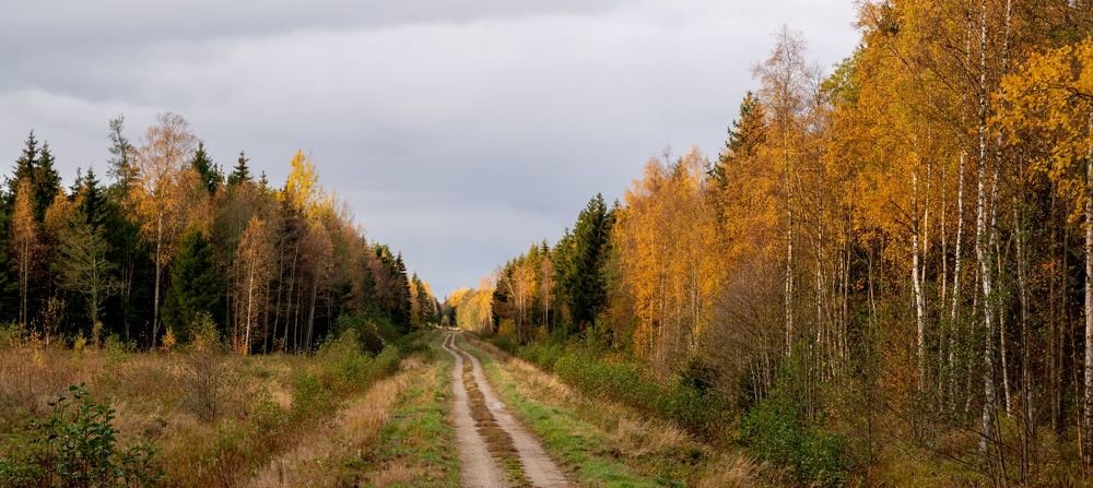 Photograph by Urmas Lind