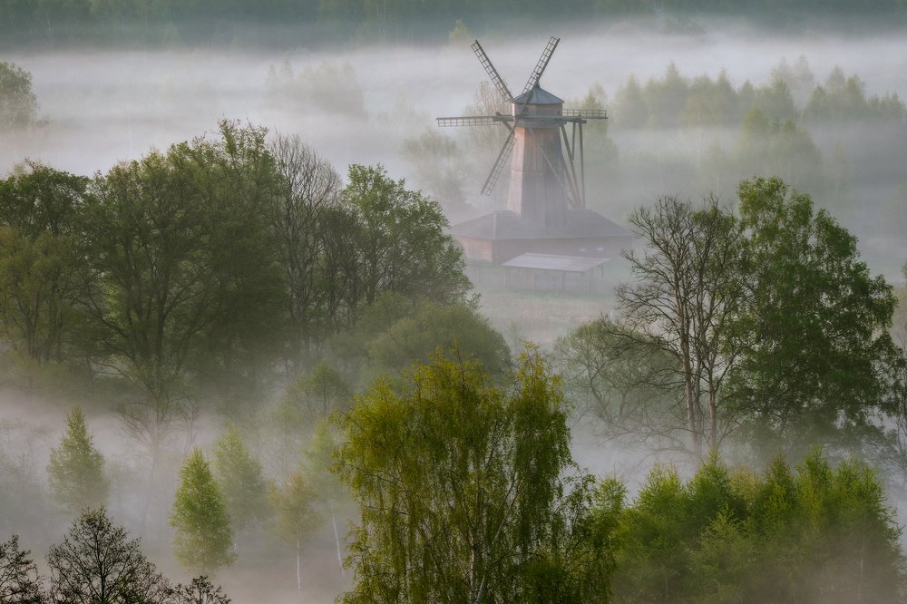 Весеннее утро
