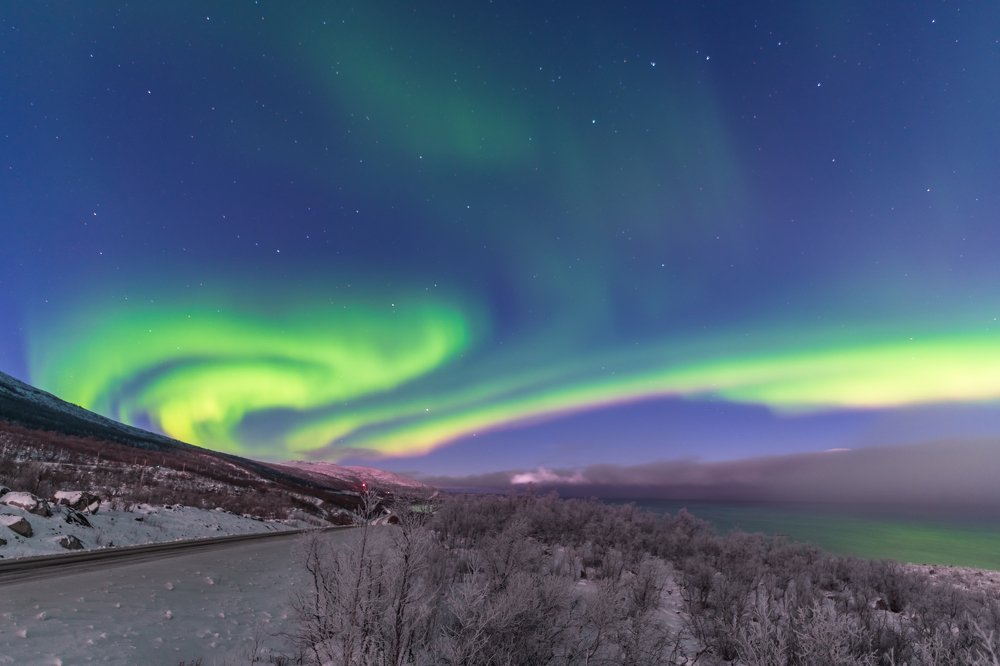 Фотография автора Michael Steindl