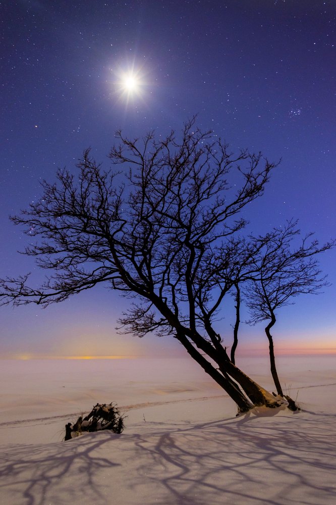 Финская Намибия