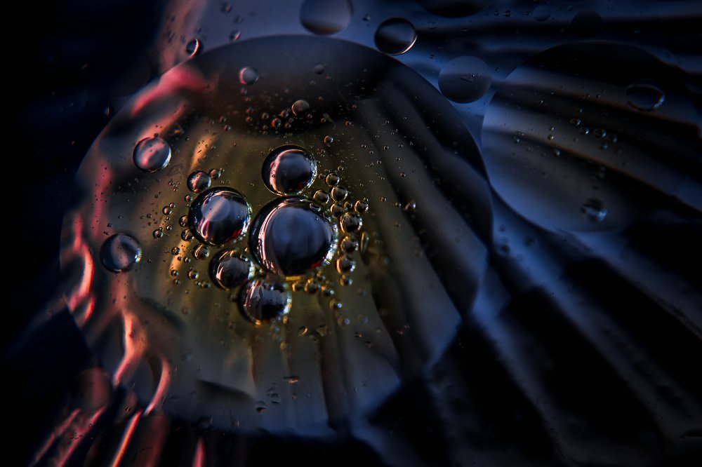 Photograph by Татьяна Ломоносова