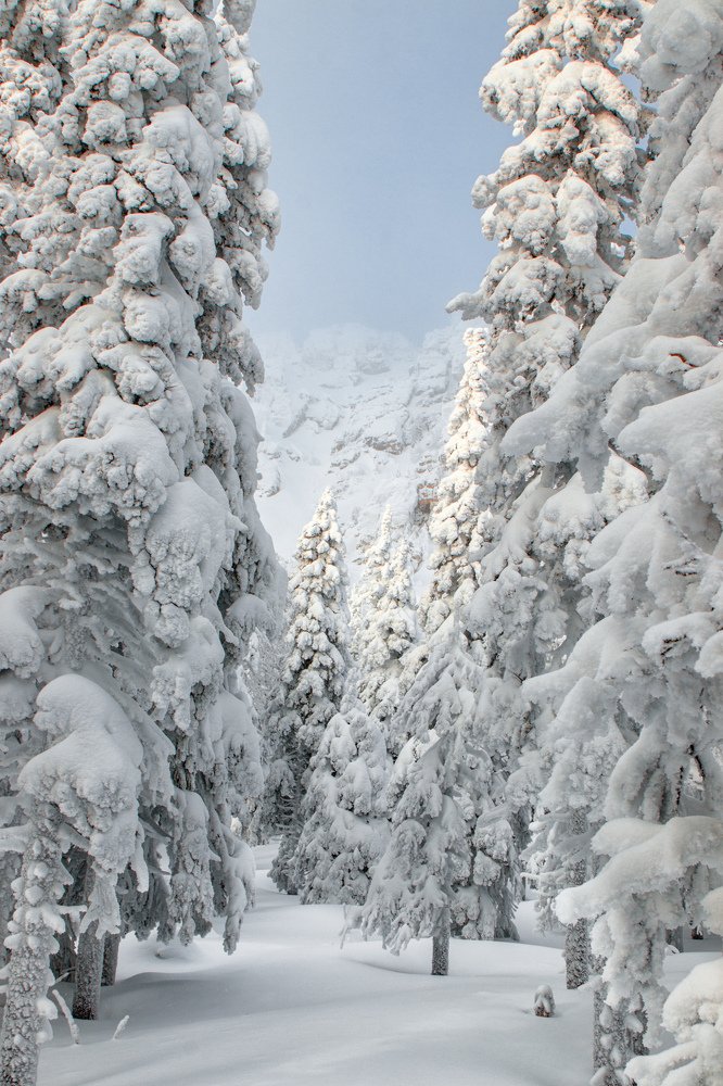 Photograph by Вячеслав Болякин