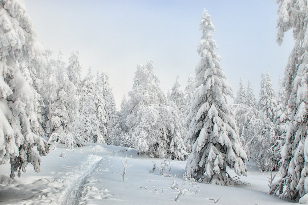 Photograph by Вячеслав Болякин