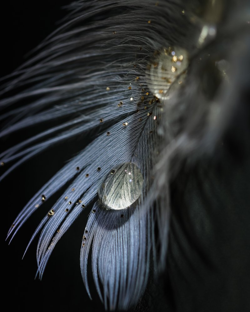 Photograph by Татьяна Ломоносова