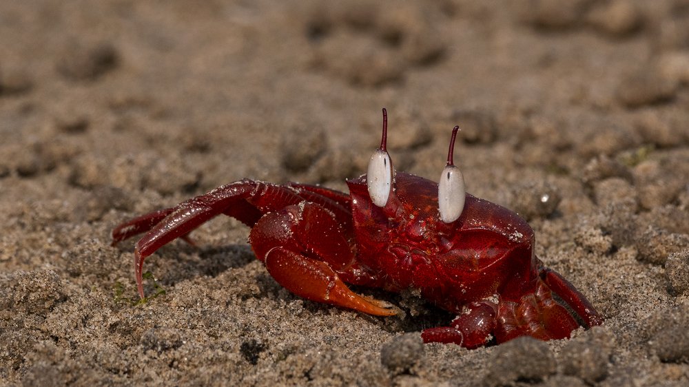 Фотография автора Gokul Addanki