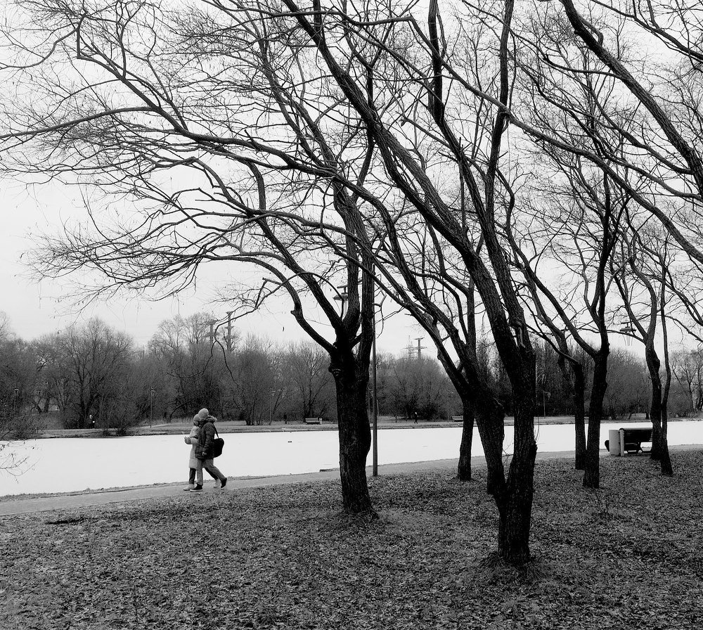 Photo #5382476