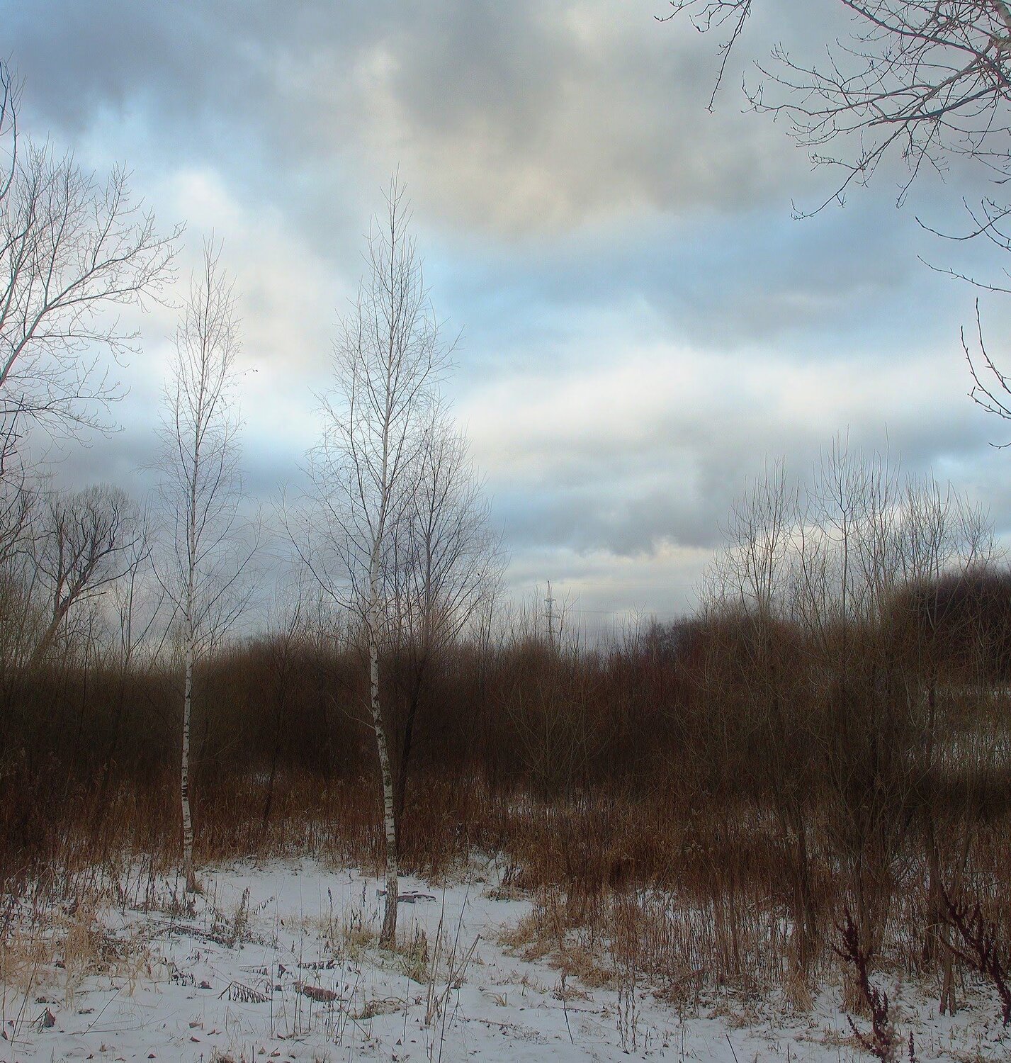 Photo #5382491