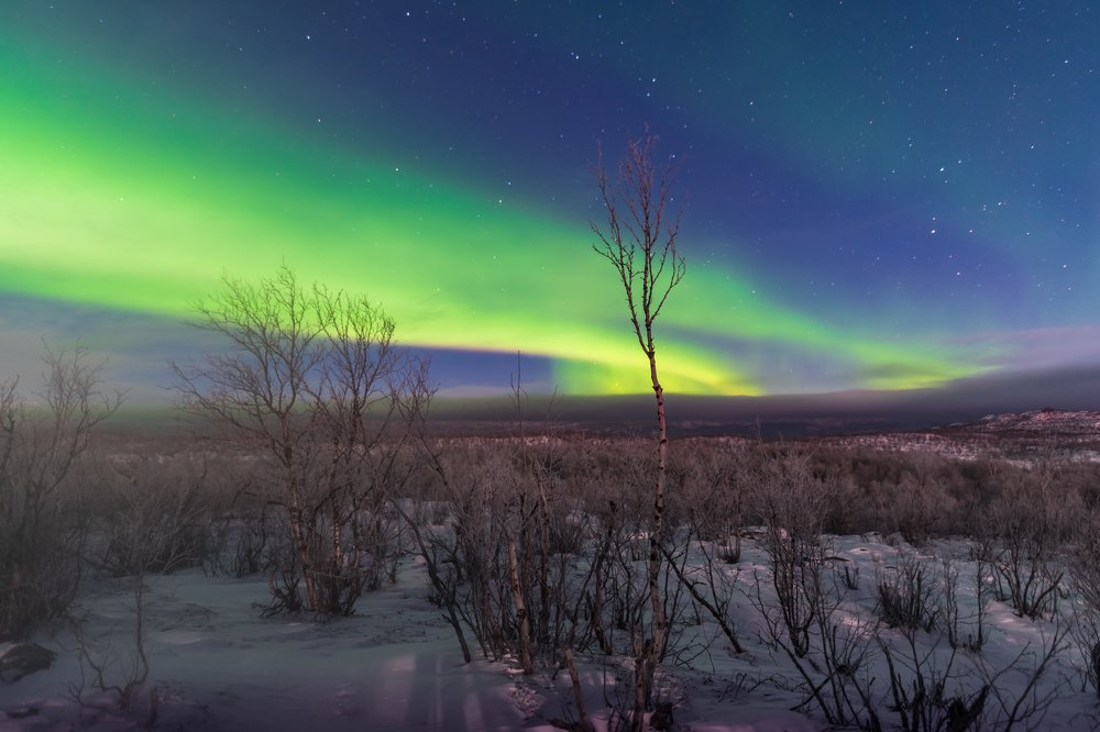 Northern lights in Abisko (Sweden)
