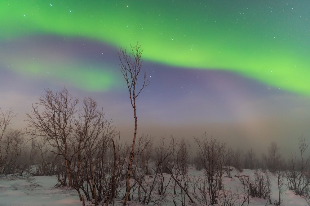 Фотография автора Michael Steindl