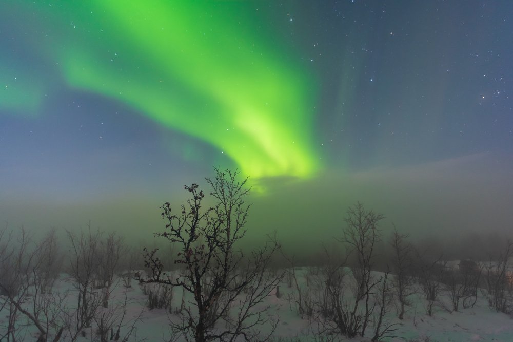 Фотография автора Michael Steindl