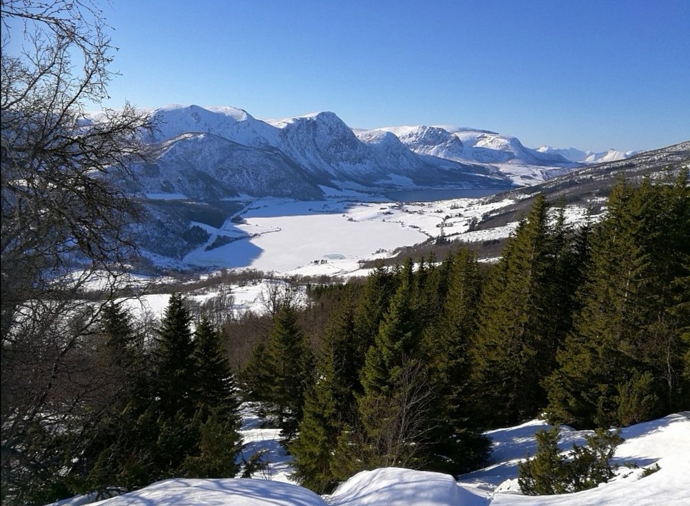 Photograph by Helene Harrysdatter