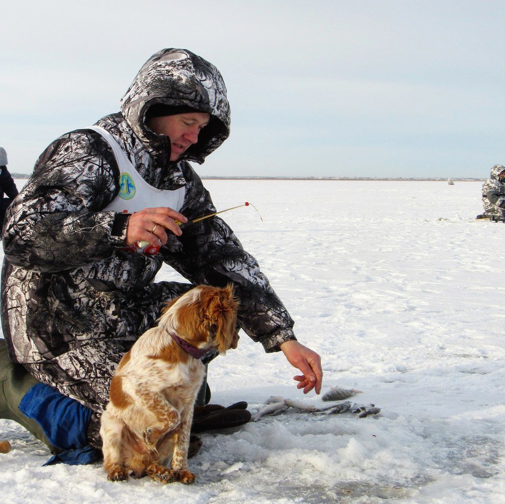 Photograph by Марина Савченко