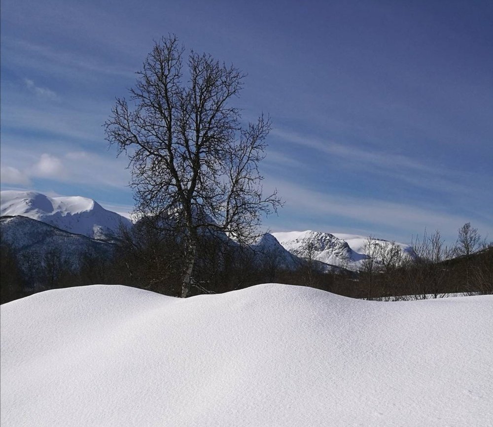 Photograph by Helene Harrysdatter