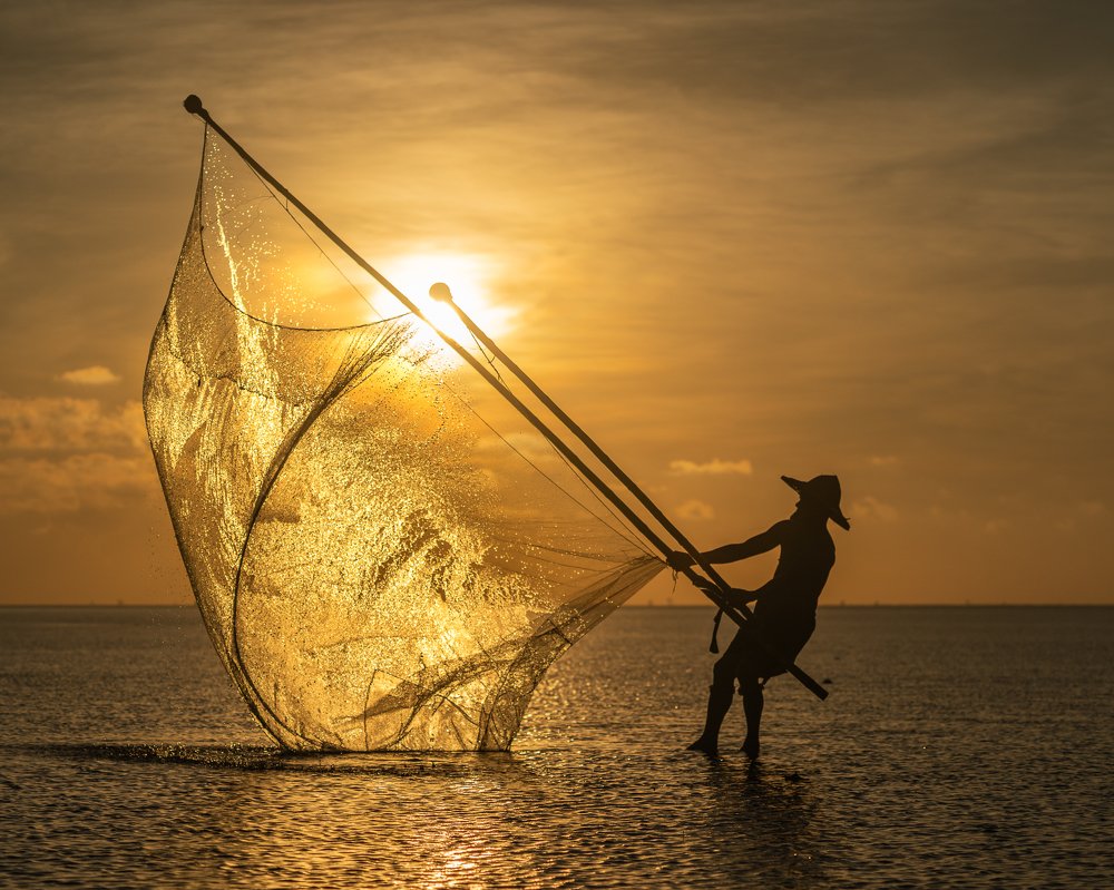 Catching the first light