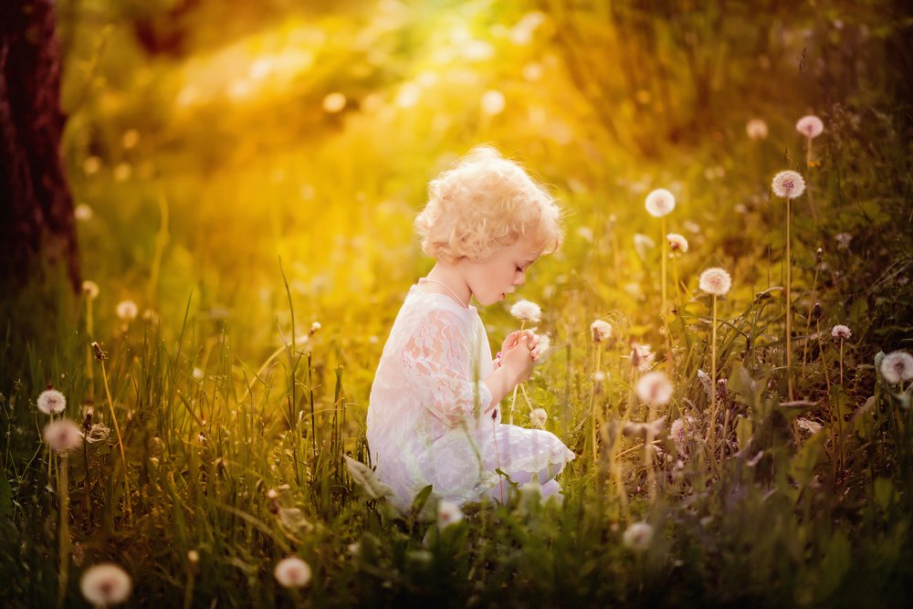 Photograph by Дарья Перевозчикова