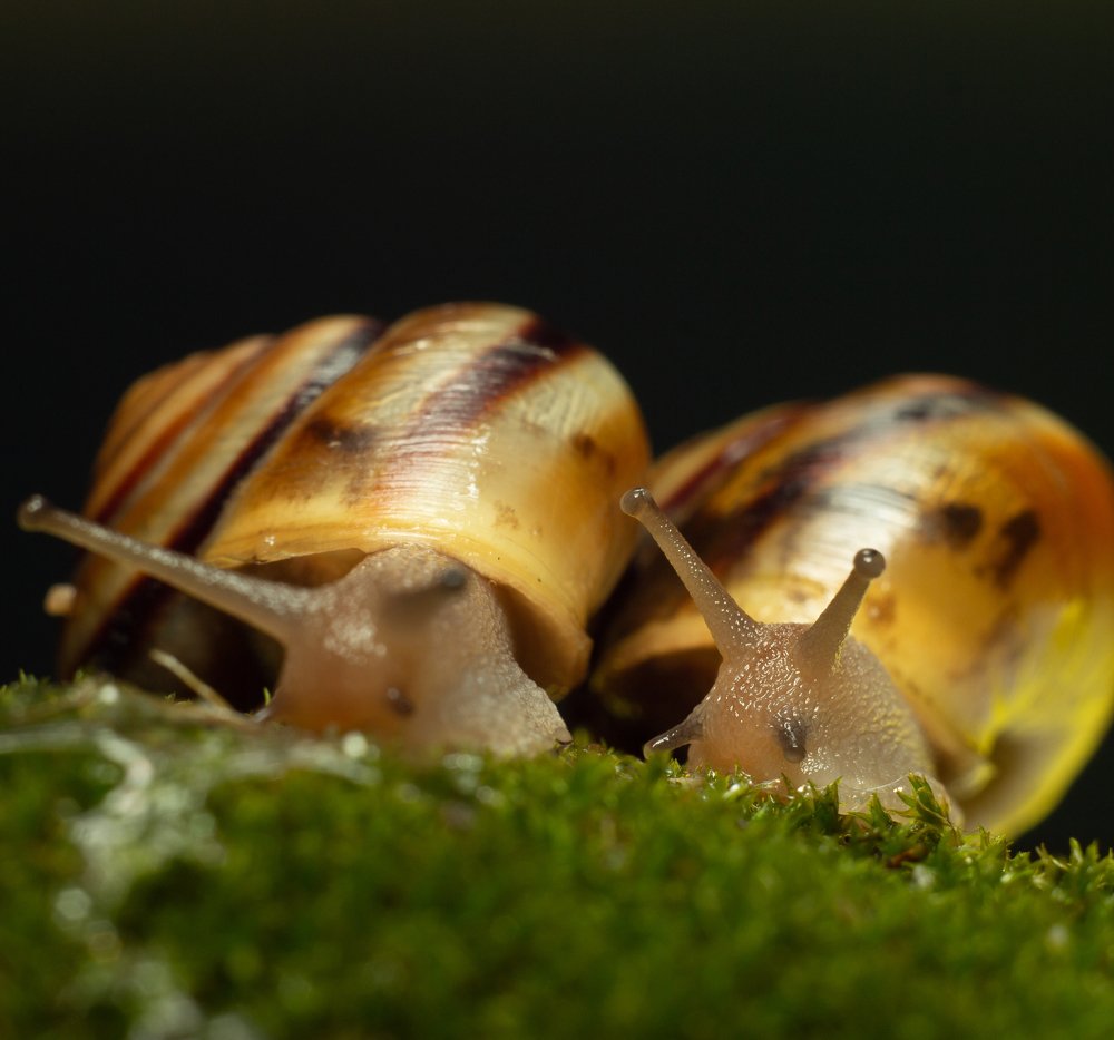 Photograph by Александр Шлюпиков