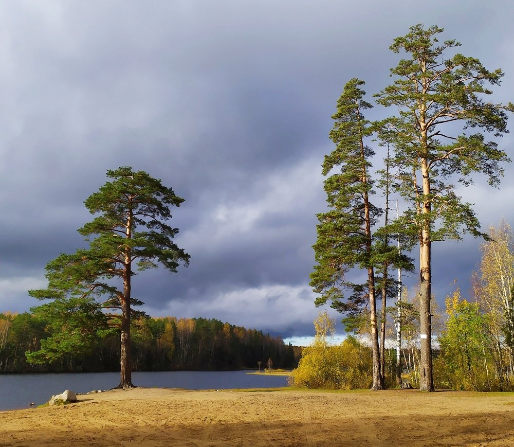 Photograph by Елена Павлова