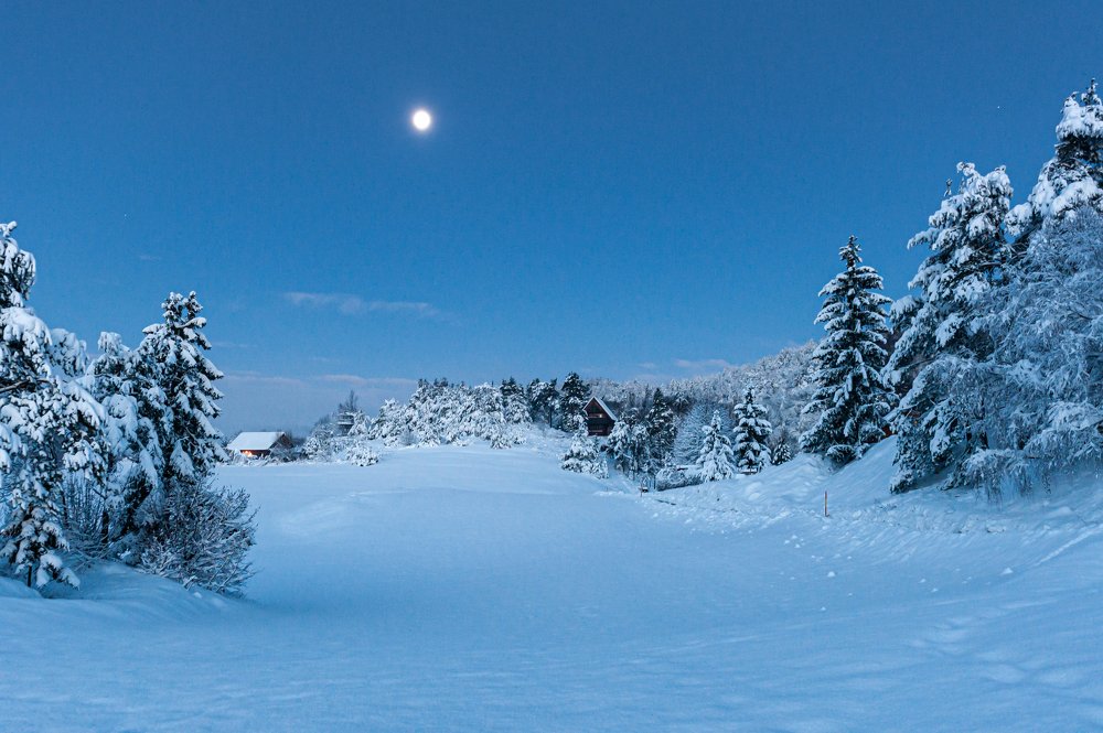 Photograph by Matjaz Skerjanec