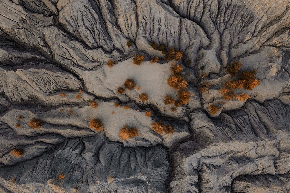 Photograph by Антон Шваин