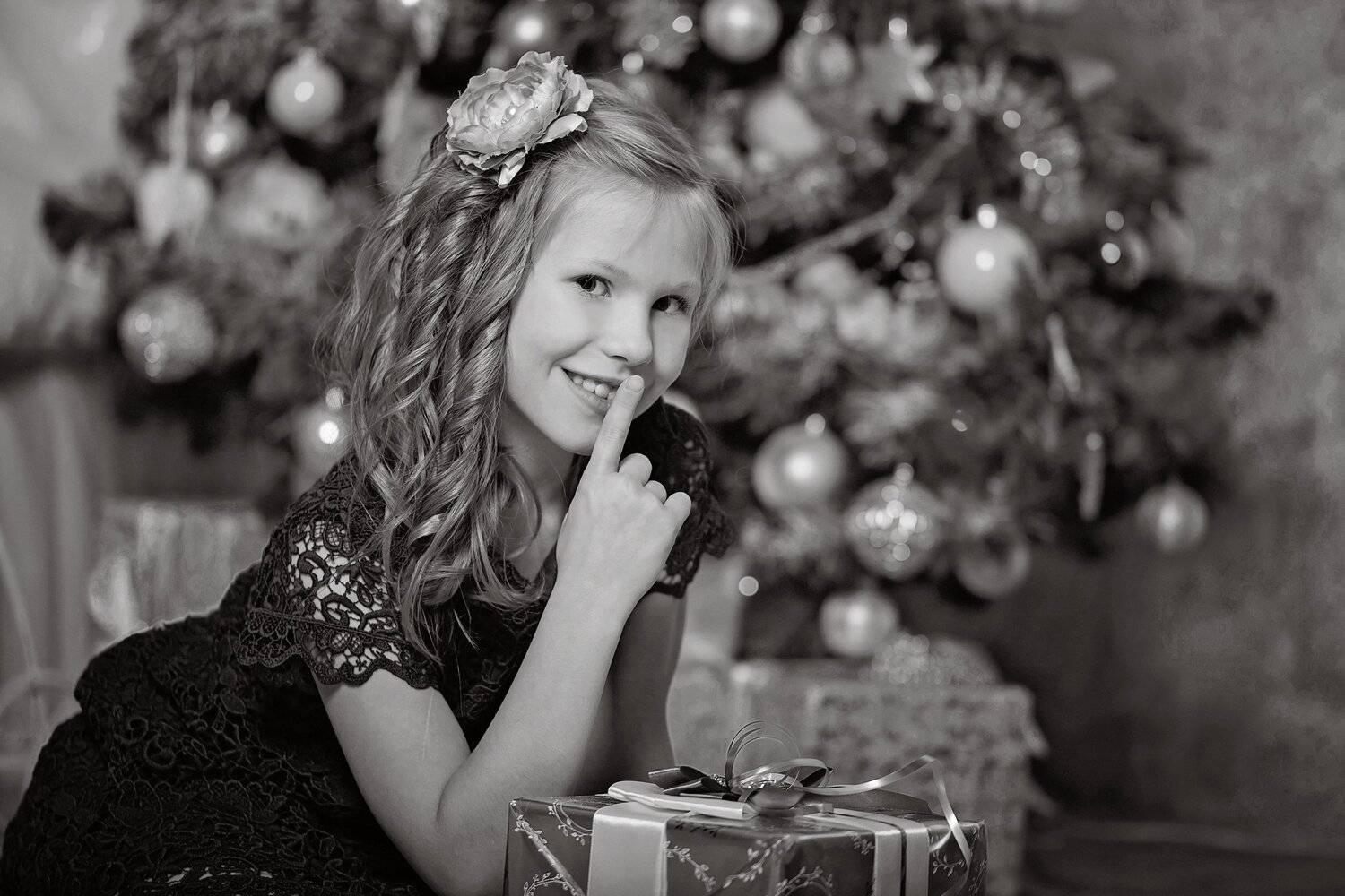 Photo #5382931