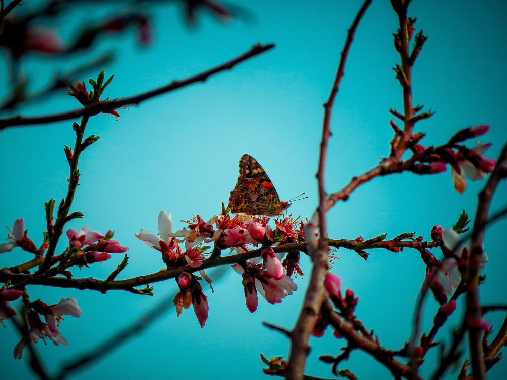 Photograph by Bahrami Ashkan