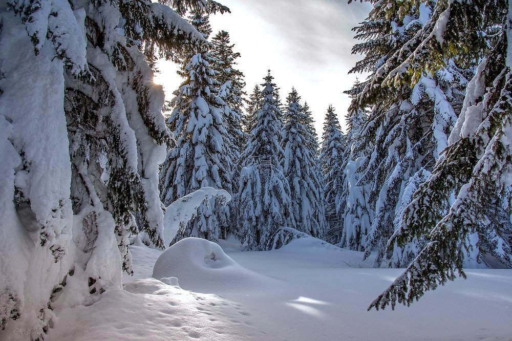 Photograph by Олег Мильбергер