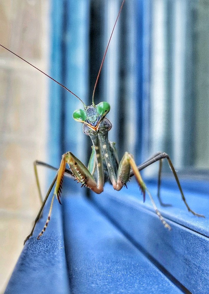 Photograph by Kobbie Pessach