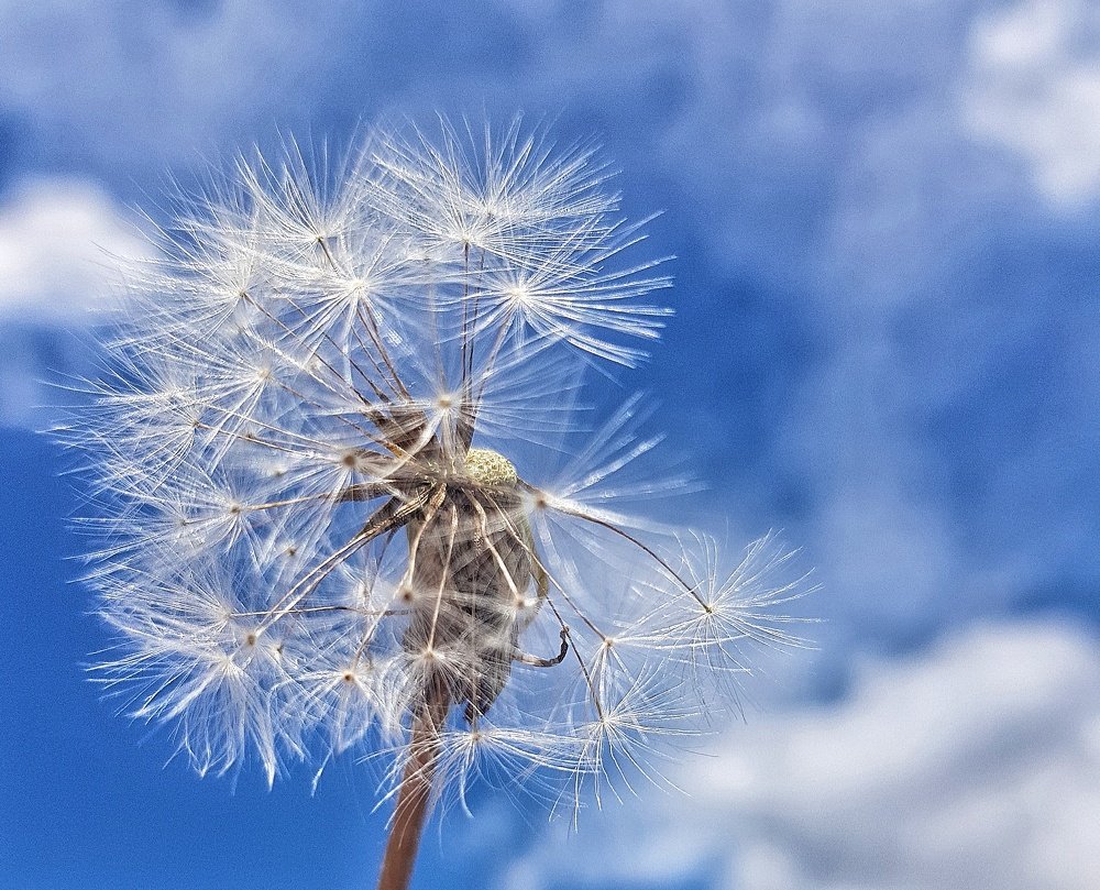 Photograph by Ольга Пумочка-13