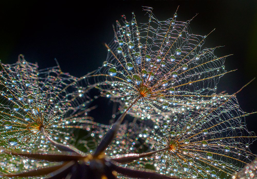 Волшебство