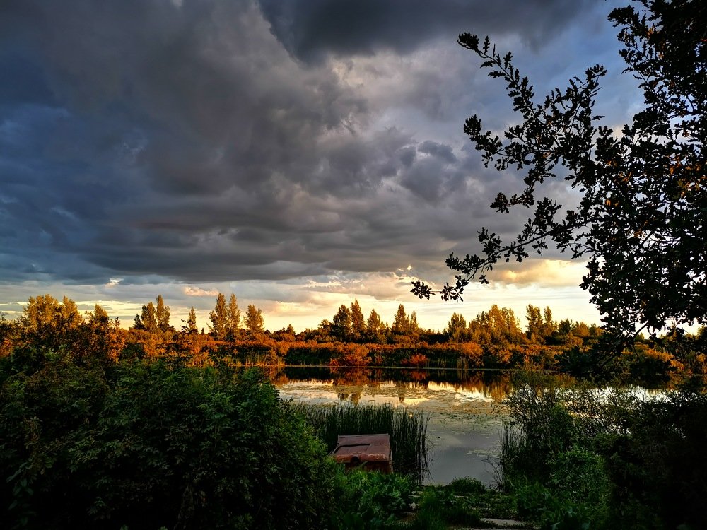 Photograph by Игорь Травкин