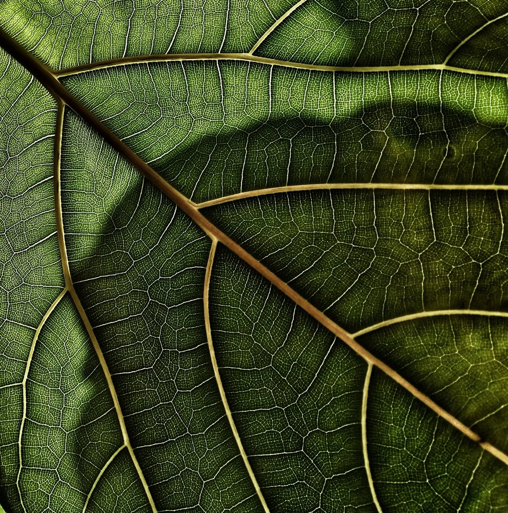 Photograph by Людмила М